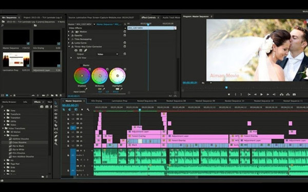 Final Cut Pro for Windows 10 substitute
